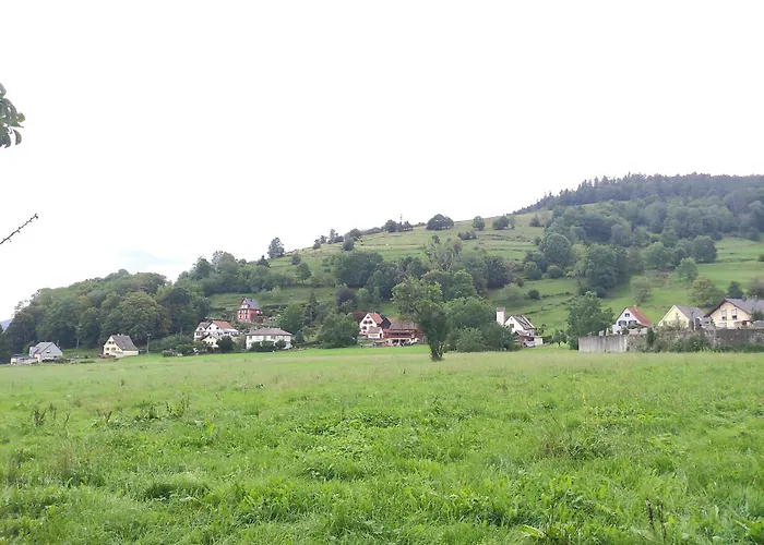 Les studios du frankenthal