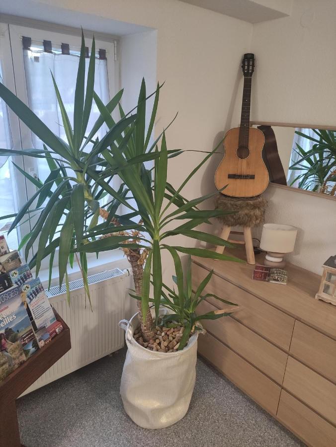 Appartement Les Du Frankenthal