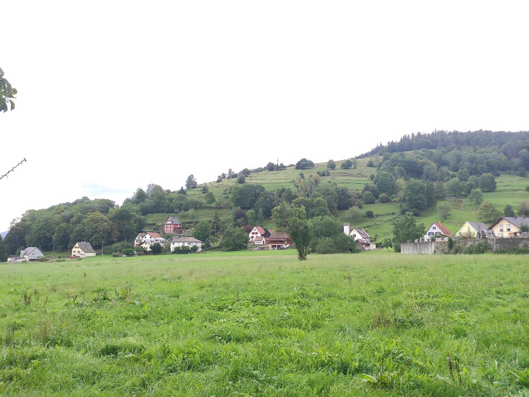 Les Du Frankenthal * Stosswihr