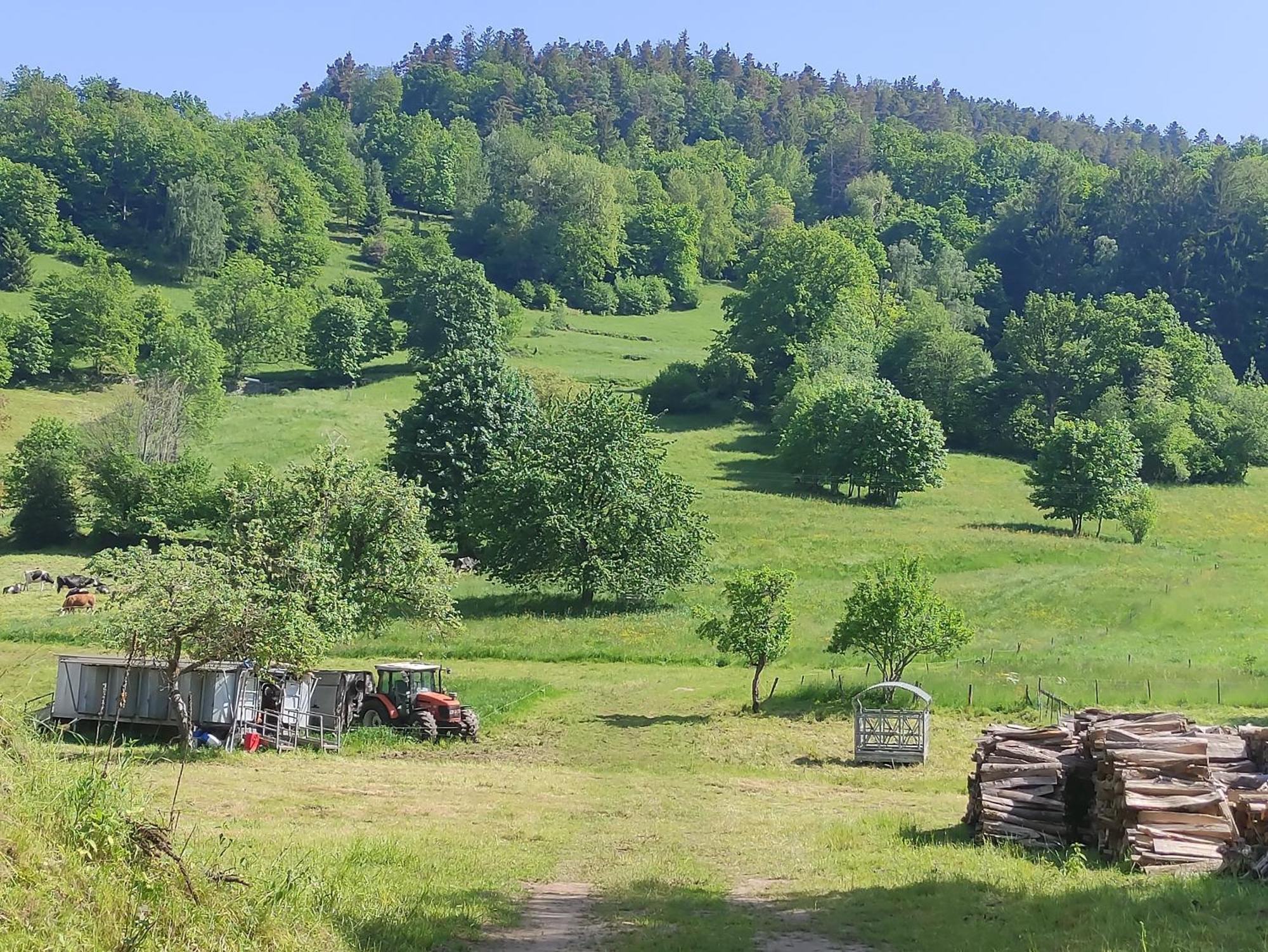 Les Du Frankenthal Appartement *