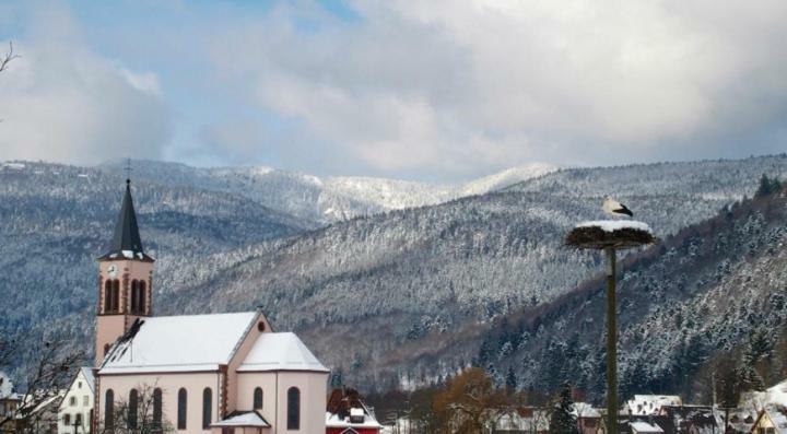 Appartement Les Du Frankenthal Stosswihr